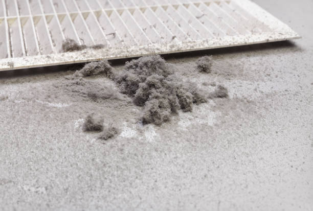 Best Best Air Duct Cleaning Company  in Norlina, NC