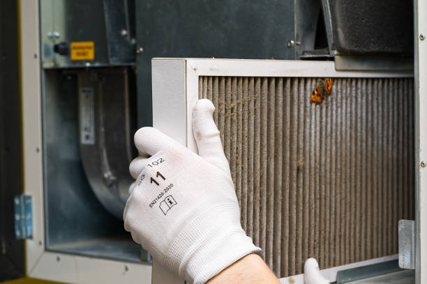 Best Professional Duct Cleaning Services  in Norlina, NC